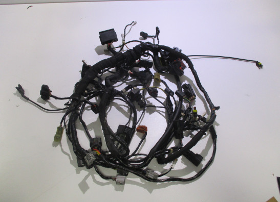 Kabelboom MV Agusta F3 675 2012-2018