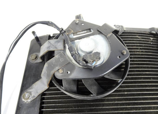 Radiator Yamaha FZ1