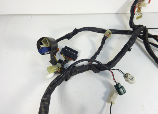 Wire Harness Yamaha FZ6