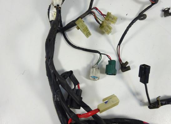 Wire Harness Yamaha TDM