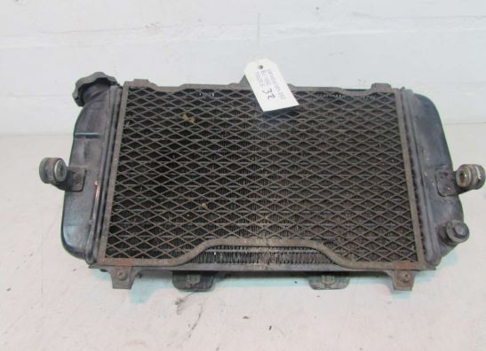 Radiator Yamaha TDM