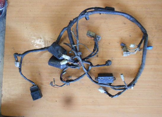 Wire Harness Yamaha TDM