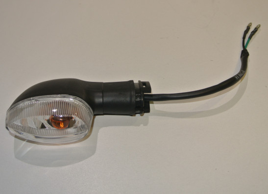 Blinker Kawasaki Ninja 650