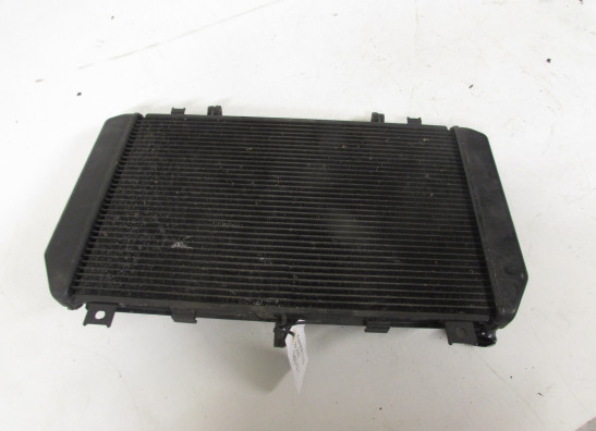 Radiator Kawasaki Z 750