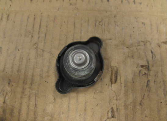 Kuhler Teile Suzuki Burgman 650