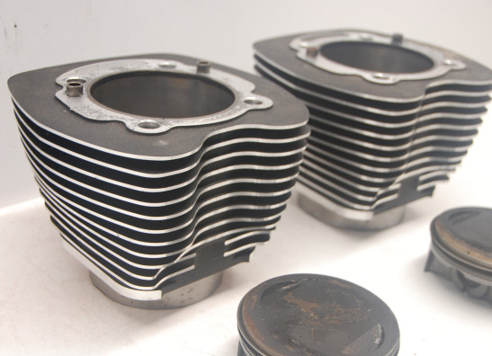 Cilinderblok Harley Davidson Softtail
