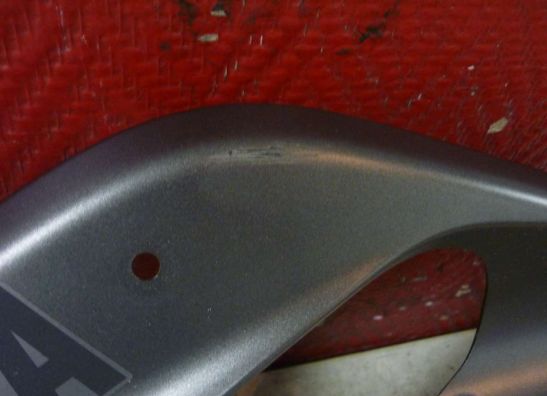 Seiten verkleidung links Yamaha YZF R 125