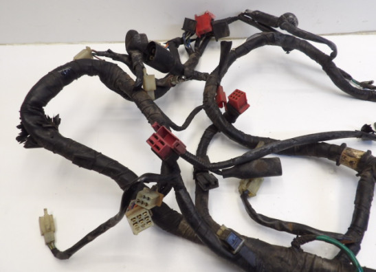 Kabelboom Honda CBX 750 F