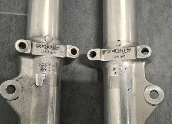 Voorpoten Harley Davidson Dyna