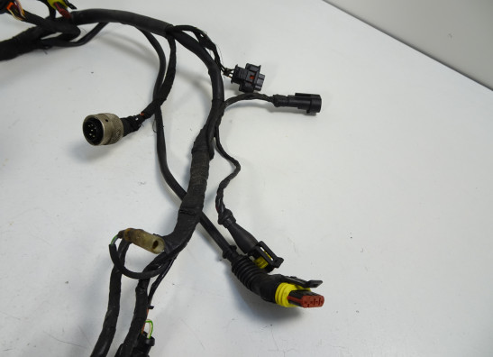 Wire Harness Ducati 749  999