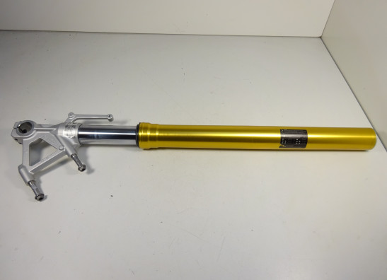 Standrohr Gabelholm rechts komplett BMW R 1200 R