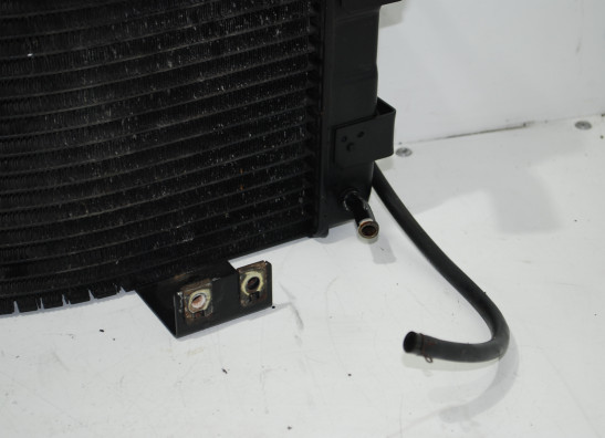 Radiator Yamaha GTS 1000