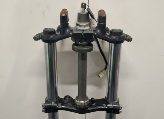 Voorpoten compleet Yamaha XV 920