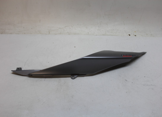Heck links Aprilia Tuono 660
