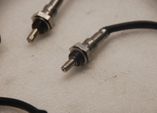 Lambda sensor Harley Davidson Softtail