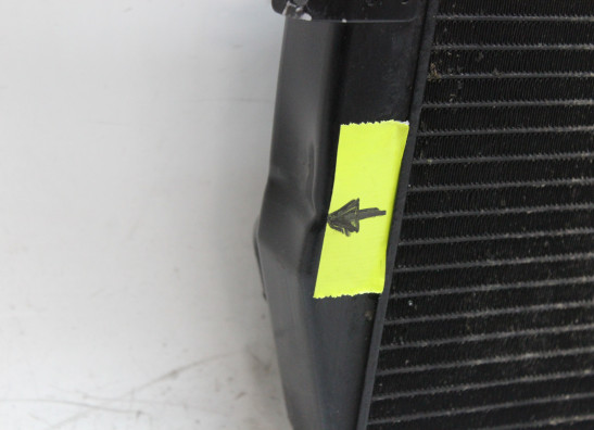 Radiateur Triumph Daytona 675 