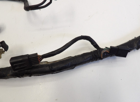 Kabelboom Honda CBF 1000