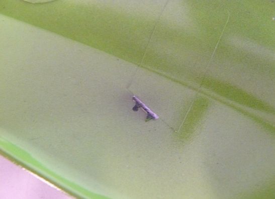 Heck links Kawasaki ZX 10 R