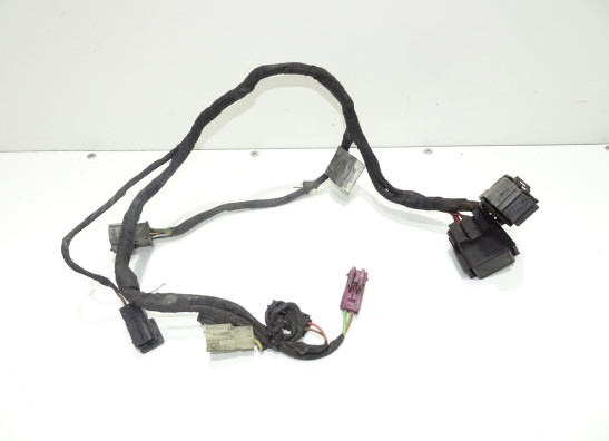 Wire harness front BMW F 650 GS
