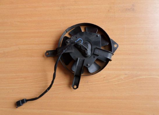 Fan Suzuki TL 1000