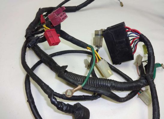 Wire Harness Honda ST 1100 Pan European