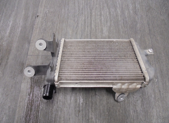 Radiator BMW R 1200 GS LC