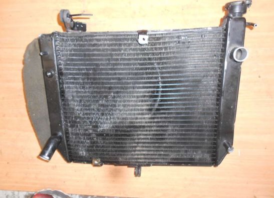 Radiator Yamaha YZF R1