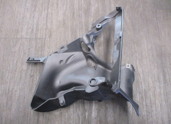 Kuhler Teile Ducati Diavel