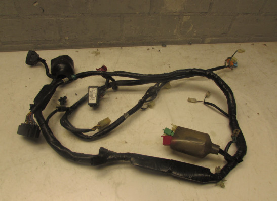 Kabelbaum vorne Honda CBR 600 F