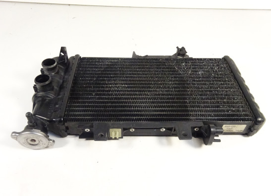 Kuhler BMW F 800 S - ST