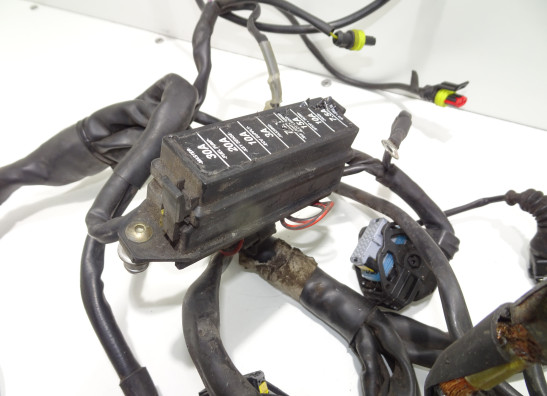 Kabelboom Ducati Monster S4