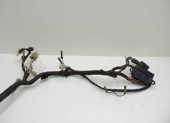 Wire Harness Yamaha TDM