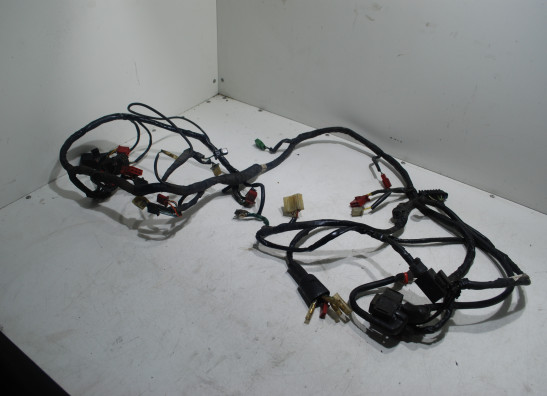 Kabelboom Honda CBR 1000 F