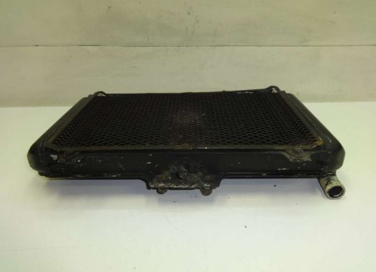 Kuhler Kawasaki GPZ 600