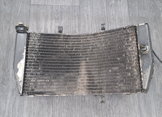 Kuhler Honda CBR Fireblade