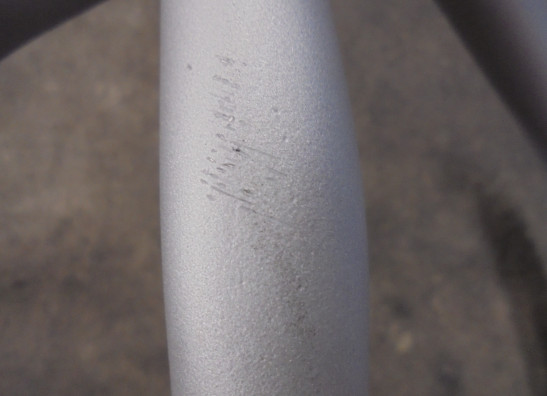 Valbeugel BMW R 1250 GS