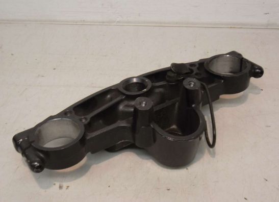 Kroonplaat Kawasaki ZZR 600