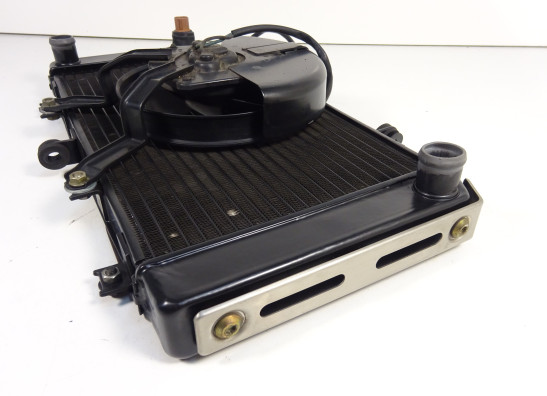 Radiator Kawasaki Z 750