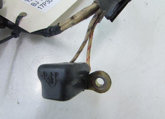 Lichtmaschine Yamaha FZR 600