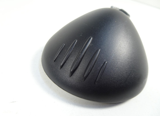 Spiegel links BMW R Nine T