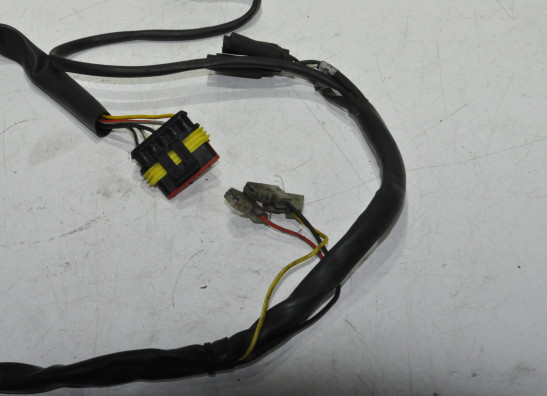 Wire harness front Ducati Monster S4