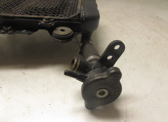 Radiator Kawasaki ZZR 250