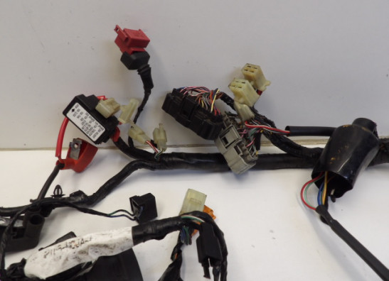 Kabelbaum Honda CBR Fireblade