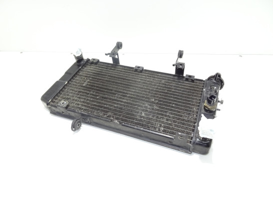 Radiator Suzuki DL 1000 V STROM