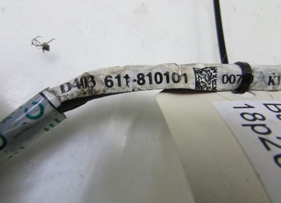 Kabelbaum vorne Kymco XCITING 500I