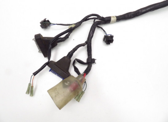 Wire Harness Honda CBR 1100 XX
