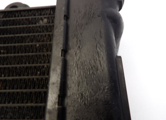 Kuhler Triumph Trophy 900