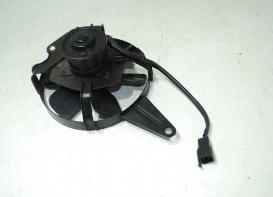 Fan Yamaha GTS 1000