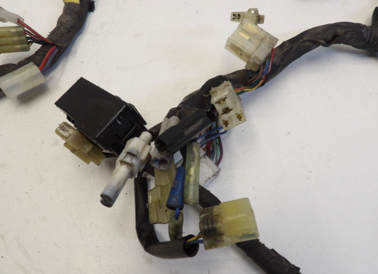 Kabelboom Yamaha FZ6