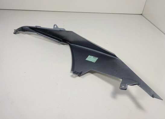 Linker achterkant Aprilia Tuono 660